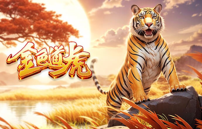 石破天惊！帕夫洛维奇远射世界波，皮球完美弧线弹横梁入网